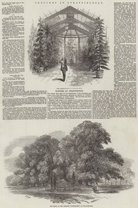 Sketches at Stratfieldsay